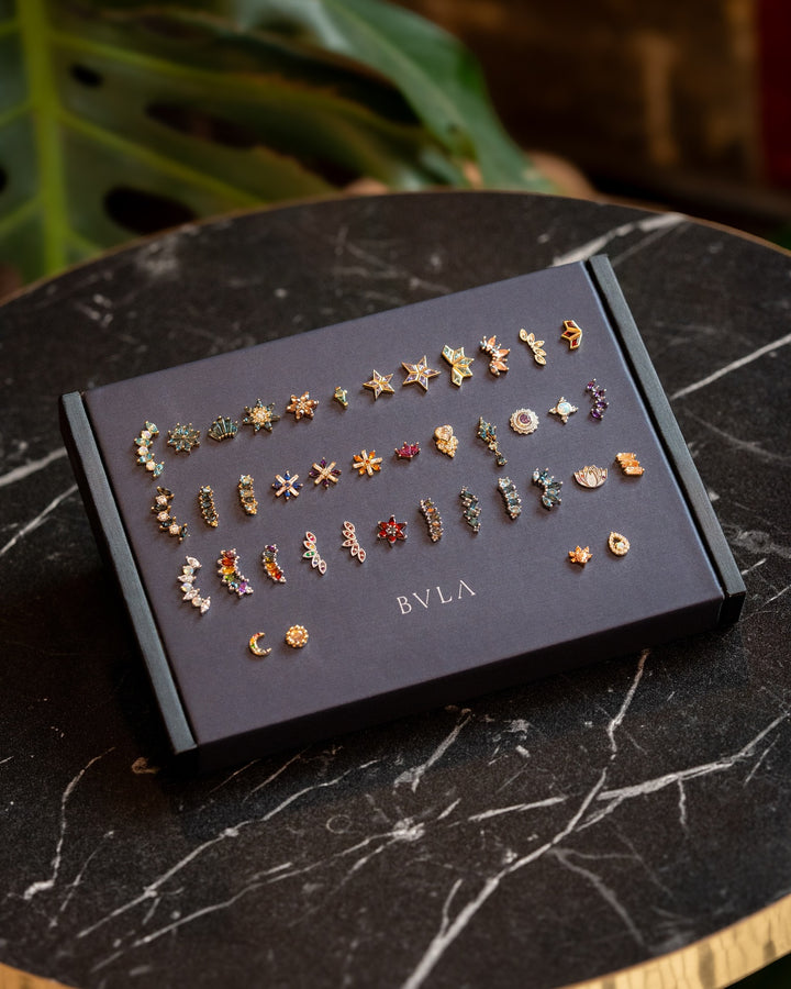 BVLA
