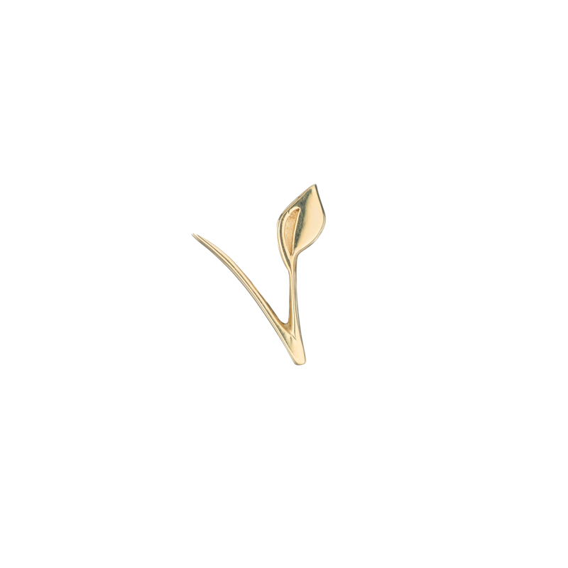 BVLA Leafy Vegan V Pushpin End