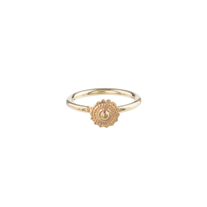 BVLA 18g Afghan Navel Orientation Seam Ring